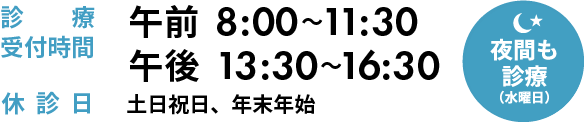 診療受付時間 午前8:00～11:30 午後13:30～16:30　休診日 日曜日、祝祭日、年末年始