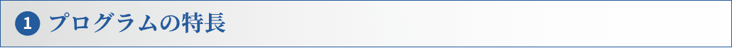 プログラムの特徴