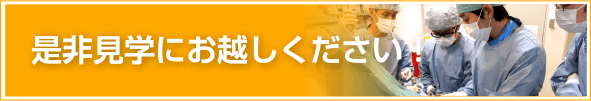 是非見学にお越しください